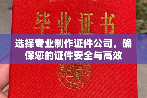 辽源选择专业制作证件公司，确保您的证件安全与高效