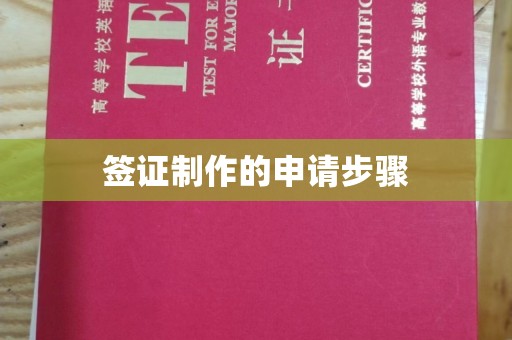 辽源签证制作的申请步骤