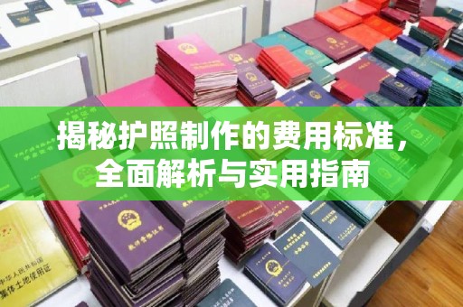 辽源揭秘护照制作的费用标准，全面解析与实用指南