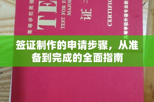 辽源签证制作的申请步骤，从准备到完成的全面指南