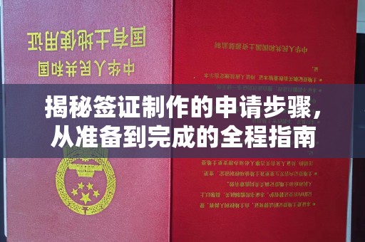 辽源揭秘签证制作的申请步骤，从准备到完成的全程指南