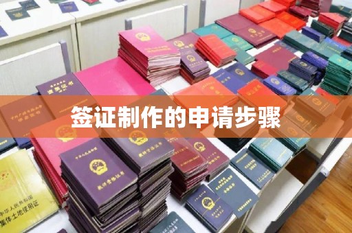 辽源签证制作的申请步骤