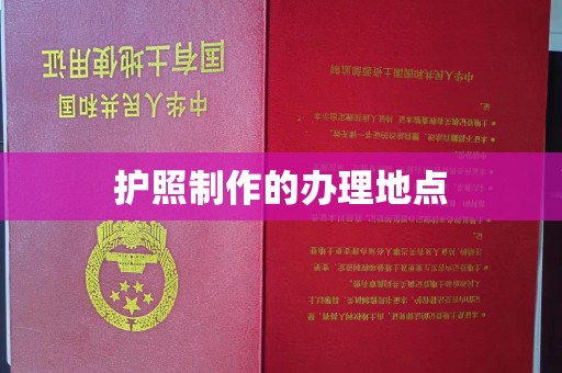 辽源护照制作的办理地点