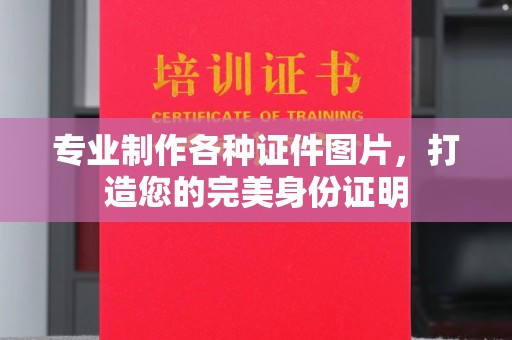 辽源专业制作各种证件图片，打造您的完美身份证明