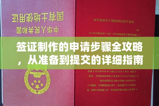 辽源签证制作的申请步骤全攻略，从准备到提交的详细指南