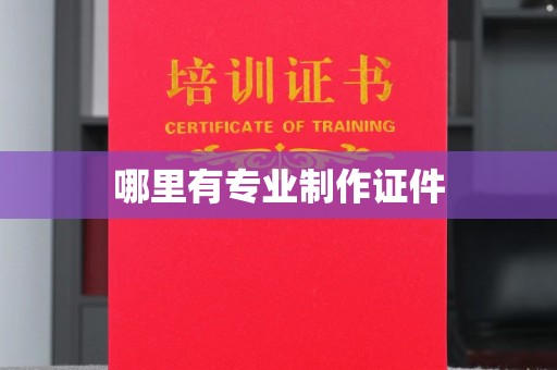 辽源哪里有专业制作证件